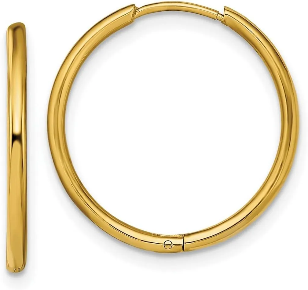 Stainless Steel Polished Yellow Ip Plated 1.6mm Hinged Hoop Earrings 19x19mm Wide 1.6mm Thick-Hoop Earring for Women