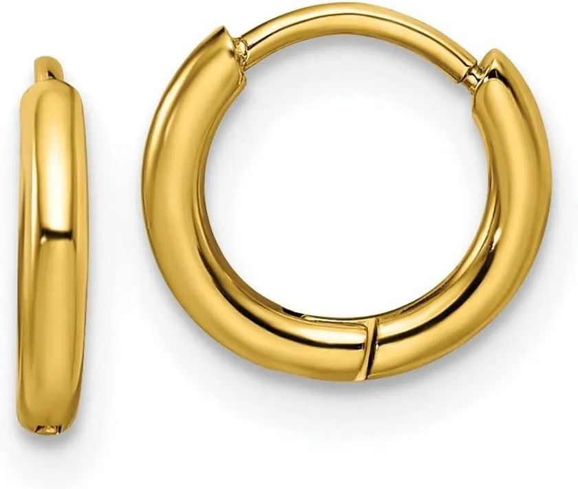 Stainless Steel Polished Yellow Ip Plated 1.6mm Hinged Hoop Earrings 9.5x10mm Wide 1.6mm Thick-Hoop Earring for Women